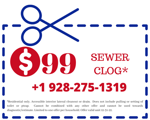 lake havasu sewer clog special